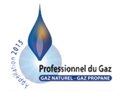 Professionnel de Gaz